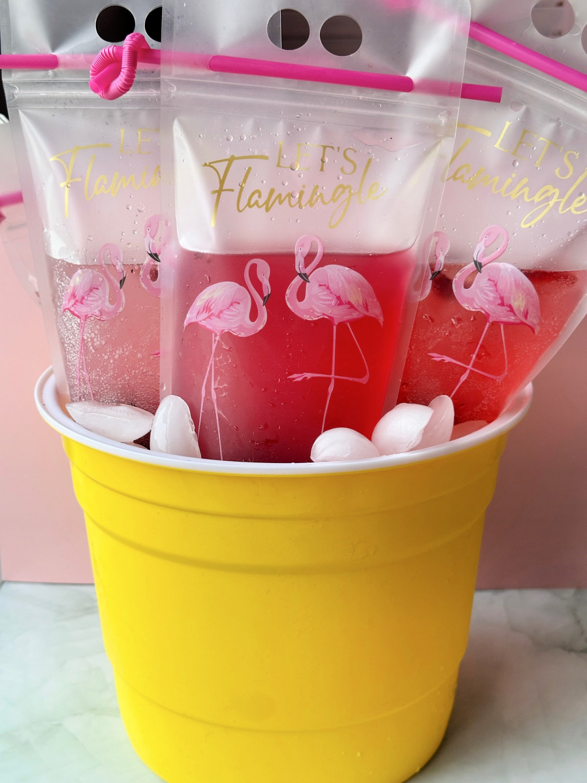 ice bucket with adult drink pouches