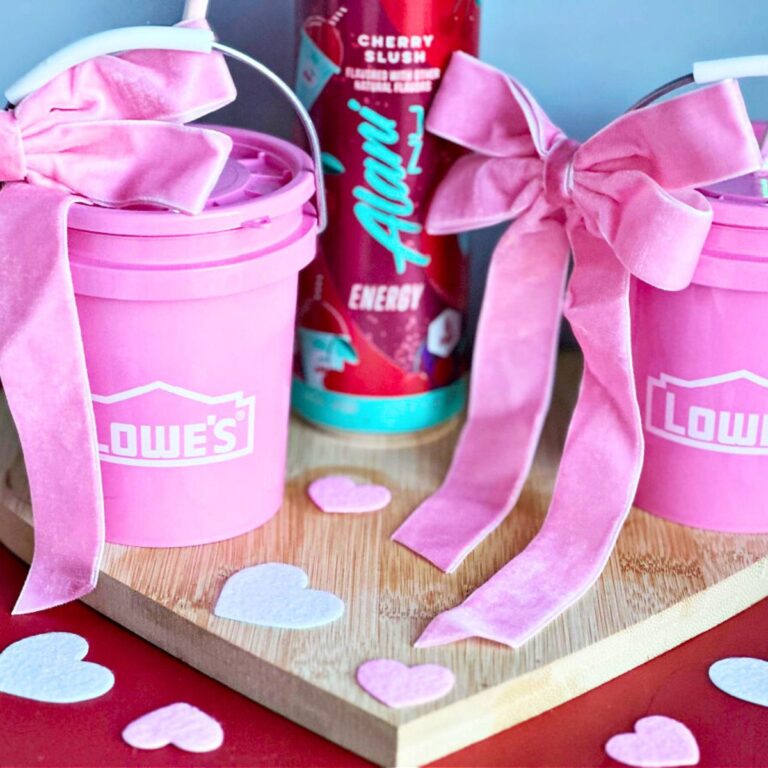 Dirty Shirley in Lowes Pink Mini Bucket with pink velvet bows
